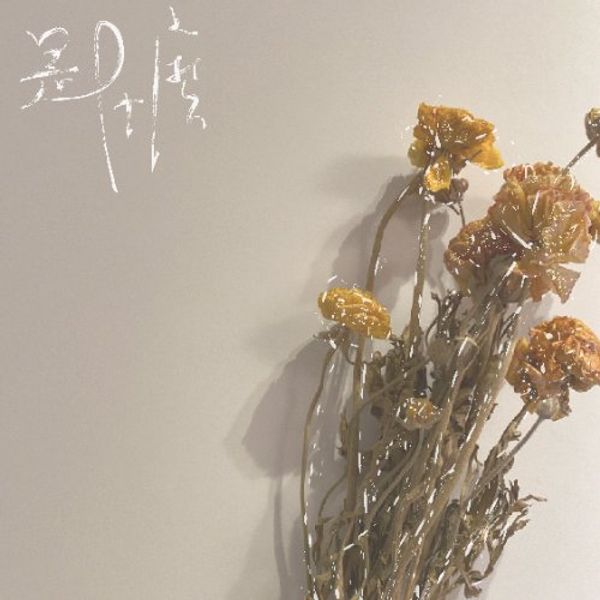 是什麼
