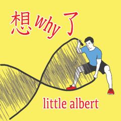 想why了