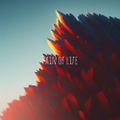 Pain of Life 
