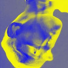 Wildstyle sample remix