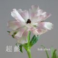 挑剔