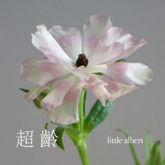 超齡