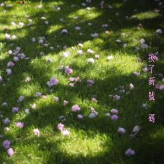 換了新號碼