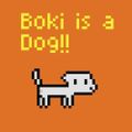 Boki is a Dog!!